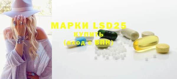стафф Надым