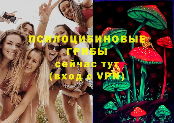 ГАЛЛЮЦИНОГЕННЫЕ ГРИБЫ Абинск