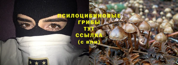 ГАЛЛЮЦИНОГЕННЫЕ ГРИБЫ Абинск